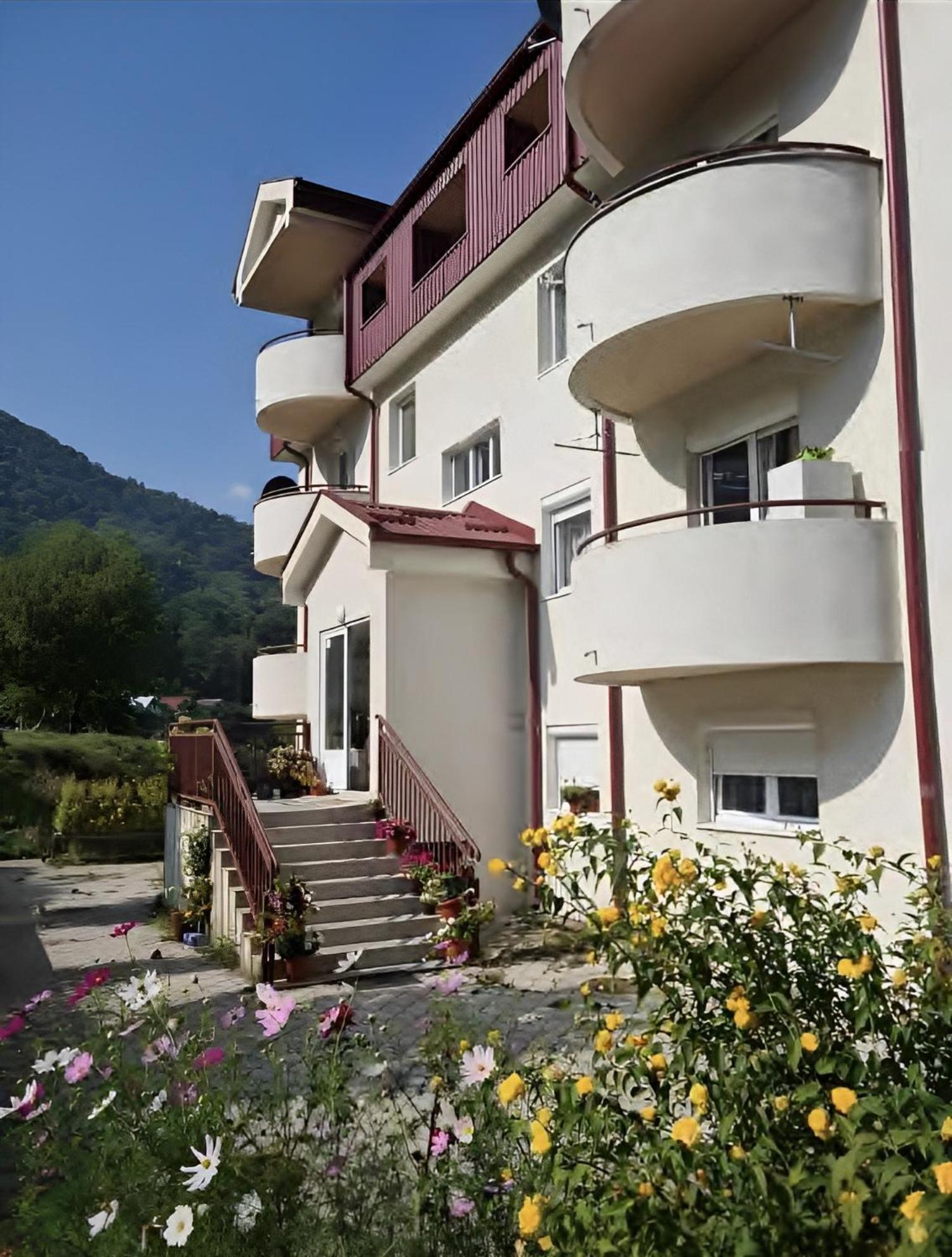 Elena Apartment Pluzine Exterior photo